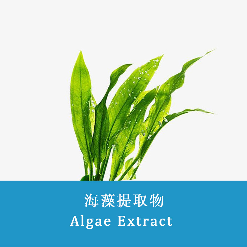Algae extract